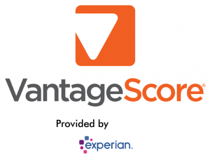 VantageScore provide by Experian