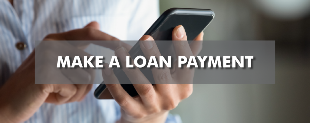 External Loan Payments1